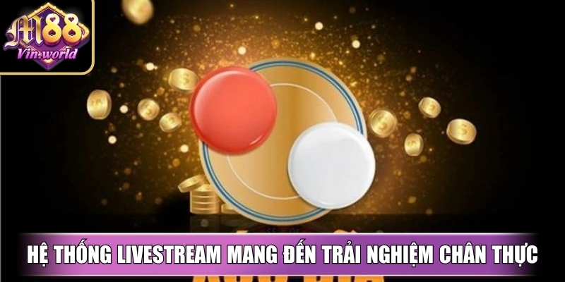Xóc đĩa online tại M88vin – Cược chuẩn, đổi thưởng lớn Hệ thống livestream mang đến trải nghiệm chân thực, minh bạch